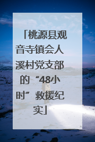 桃源县观音寺镇会人溪村党支部的“48小时”救援纪实