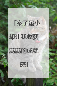 案子虽小却让我收获满满的成就感