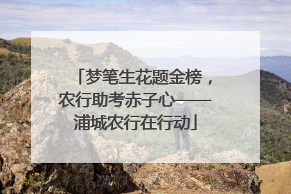 梦笔生花题金榜，农行助考赤子心——浦城农行在行动