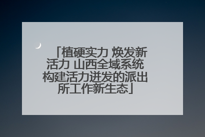 植硬实力 焕发新活力 山西全域系统构建活力迸发的派出所工作新生态
