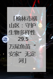 榆林市横山区：守护生物多样性 29.5万尾鱼苗“安家”无定河