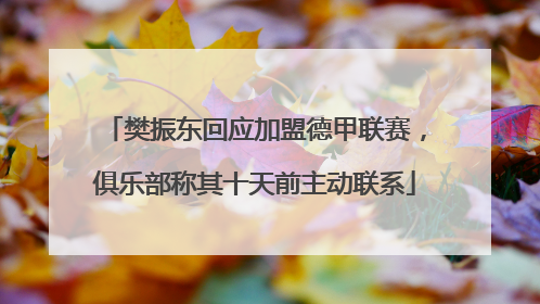樊振东回应加盟德甲联赛，俱乐部称其十天前主动联系