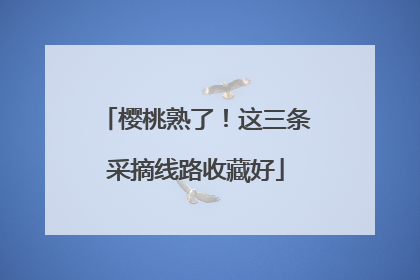 樱桃熟了！这三条采摘线路收藏好