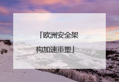 欧洲安全架构加速重塑