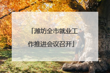 潍坊全市就业工作推进会议召开