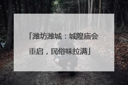 潍坊潍城：城隍庙会重启，民俗味拉满