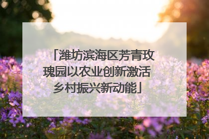 潍坊滨海区芳青玫瑰园以农业创新激活乡村振兴新动能