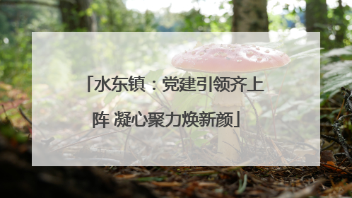 水东镇：党建引领齐上阵 凝心聚力焕新颜