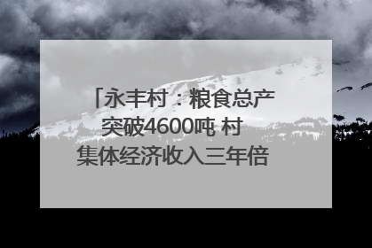 永丰村：粮食总产突破4600吨 村集体经济收入三年倍增｜牵挂的村