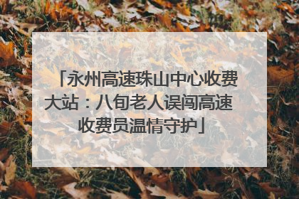 永州高速珠山中心收费大站：八旬老人误闯高速 收费员温情守护