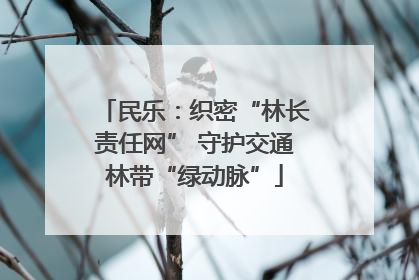 民乐：织密“林长责任网” 守护交通林带“绿动脉”
