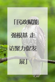 民政赋能强根基 走访聚力促发展