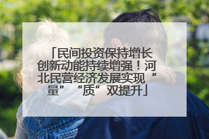 民间投资保持增长 创新动能持续增强！河北民营经济发展实现“量”“质”双提升