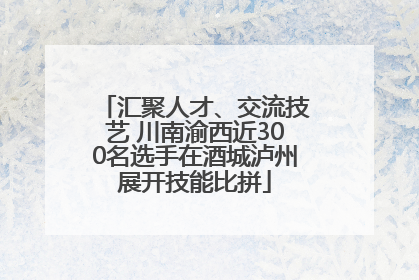 汇聚人才、交流技艺 川南渝西近300名选手在酒城泸州展开技能比拼