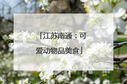 江苏南通：可爱动物品美食