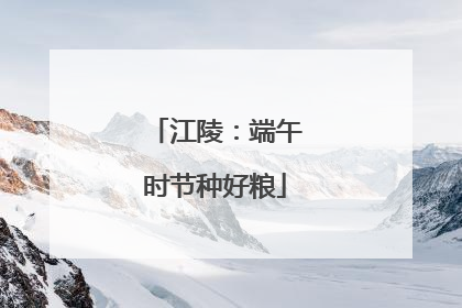 江陵：端午时节种好粮