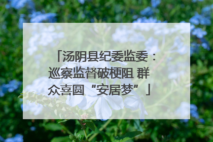 汤阴县纪委监委：巡察监督破梗阻 群众喜圆“安居梦”