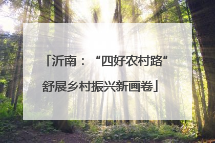 沂南：“四好农村路”舒展乡村振兴新画卷