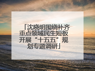 沈晓明围绕补齐重点领域民生短板开展“十五五”规划专题调研