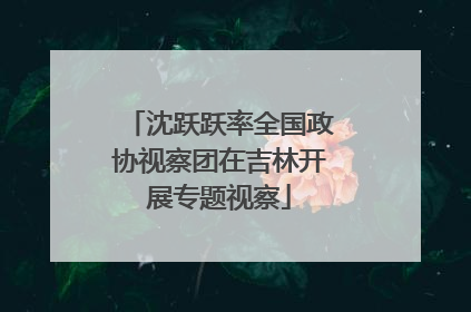 沈跃跃率全国政协视察团在吉林开展专题视察