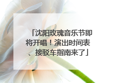 沈阳玫瑰音乐节即将开唱！演出时间表、接驳车指南来了
