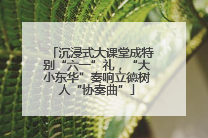 沉浸式大课堂成特别“六一”礼，“大小东华”奏响立德树人“协奏曲”