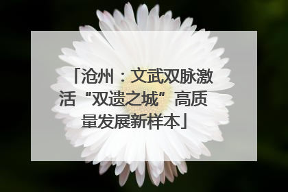 沧州：文武双脉激活“双遗之城”高质量发展新样本