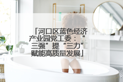 河口区蓝色经济产业园党工委：“三强”提“三力”赋能高质量发展