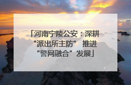 河南宁陵公安：深耕“派出所主防” 推进“警网融合”发展