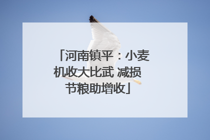 河南镇平：小麦机收大比武 减损节粮助增收