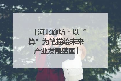 河北廊坊：以“算”为笔描绘未来产业发展蓝图