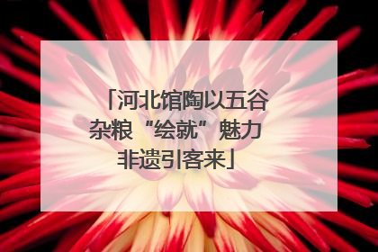 河北馆陶以五谷杂粮“绘就”魅力非遗引客来