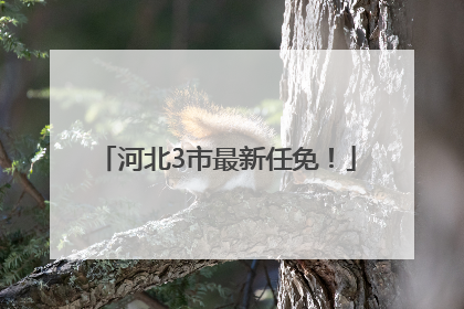 河北3市最新任免！