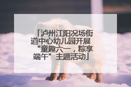 泸州江阳况场街道中心幼儿园开展“童趣六一，粽享端午”主题活动