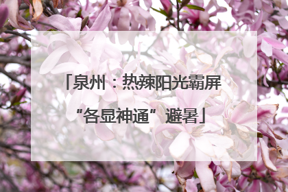 泉州：热辣阳光霸屏 “各显神通”避暑