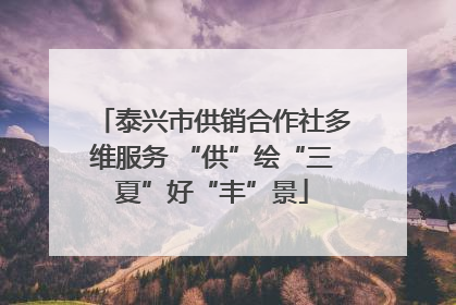 泰兴市供销合作社多维服务 “供”绘“三夏”好“丰”景