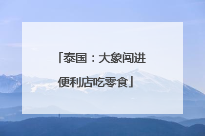 泰国：大象闯进便利店吃零食