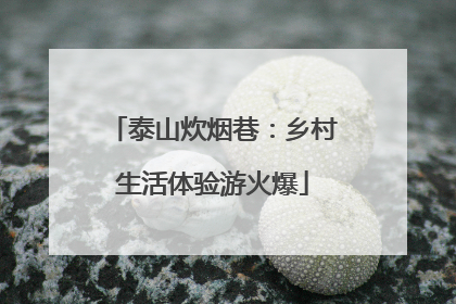 泰山炊烟巷：乡村生活体验游火爆