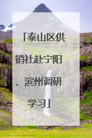 泰山区供销社赴宁阳、滨州调研学习