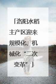 洛阳水稻主产区迎来规模化、机械化“二次变革”