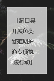 洞口县开展鱼类繁殖期护渔专项执法行动