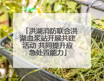洪湖消防联合洪湖血浆站开展共建活动 共同提升应急处置能力