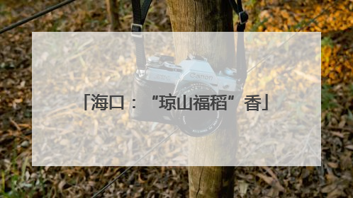 海口：“琼山福稻”香