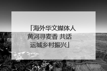海外华文媒体人黄河寻麦香 共话运城乡村振兴