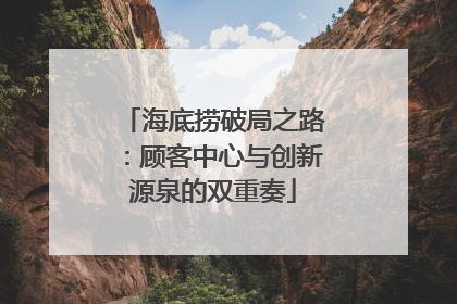 海底捞破局之路：顾客中心与创新源泉的双重奏