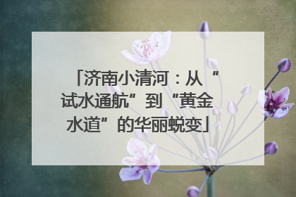 济南小清河：从“试水通航”到“黄金水道”的华丽蜕变