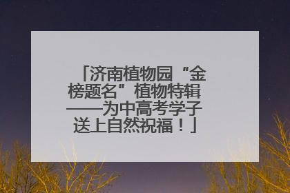 济南植物园“金榜题名”植物特辑——为中高考学子送上自然祝福！