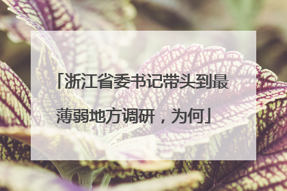 浙江省委书记带头到最薄弱地方调研，为何