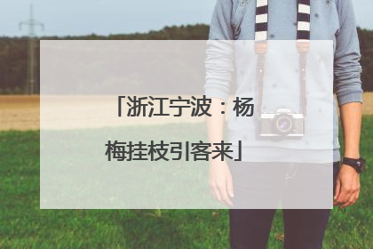 浙江宁波：杨梅挂枝引客来