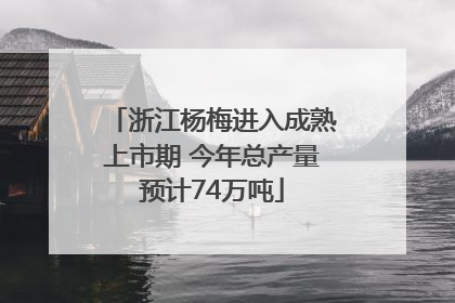 浙江杨梅进入成熟上市期 今年总产量预计74万吨